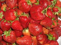 Саженцы клубники Бениция