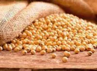 Семена сои Хардин