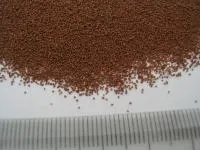 Крезоксим-метил 500 г/кг, ВДГ